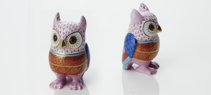 世界のふくろう] アンデスのふくろう