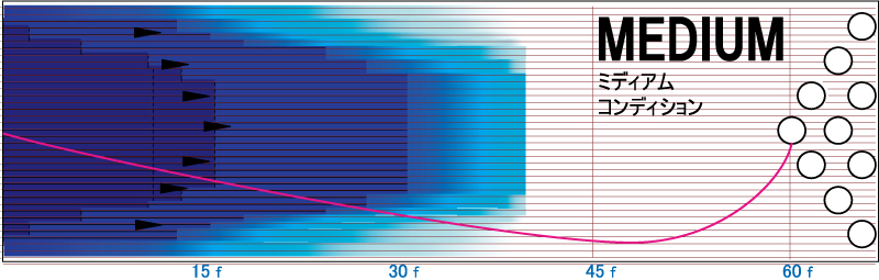 アイオン・プロ - ハイスポーツ社 ：信頼のボウリング用品販売