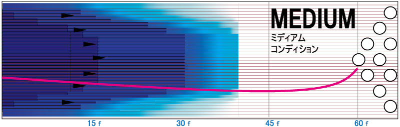 フェイズ A.I. - ハイスポーツ社 ：信頼のボウリング用品販売