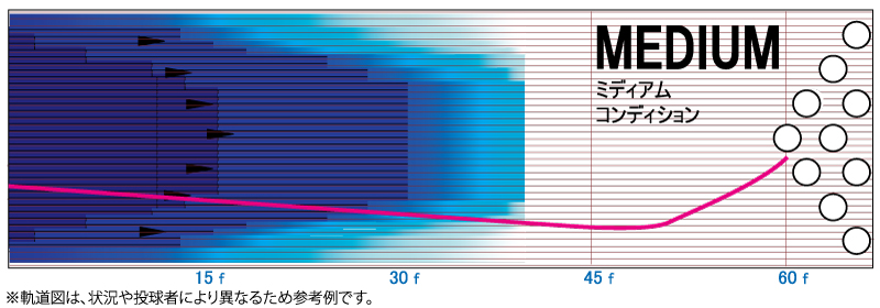 アイオン・プロ・ソリッド - ハイスポーツ社 ：信頼のボウリング用品販売