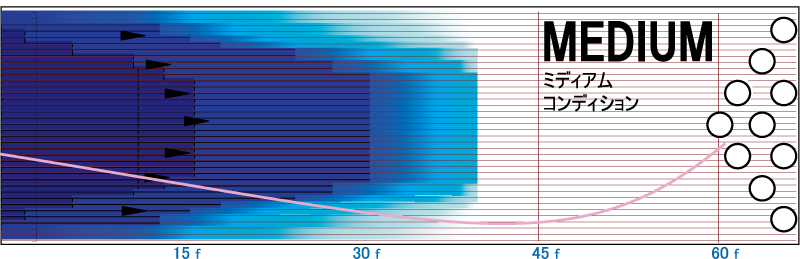 IDOL HELIOS - ハイスポーツ社 ：信頼のボウリング用品販売