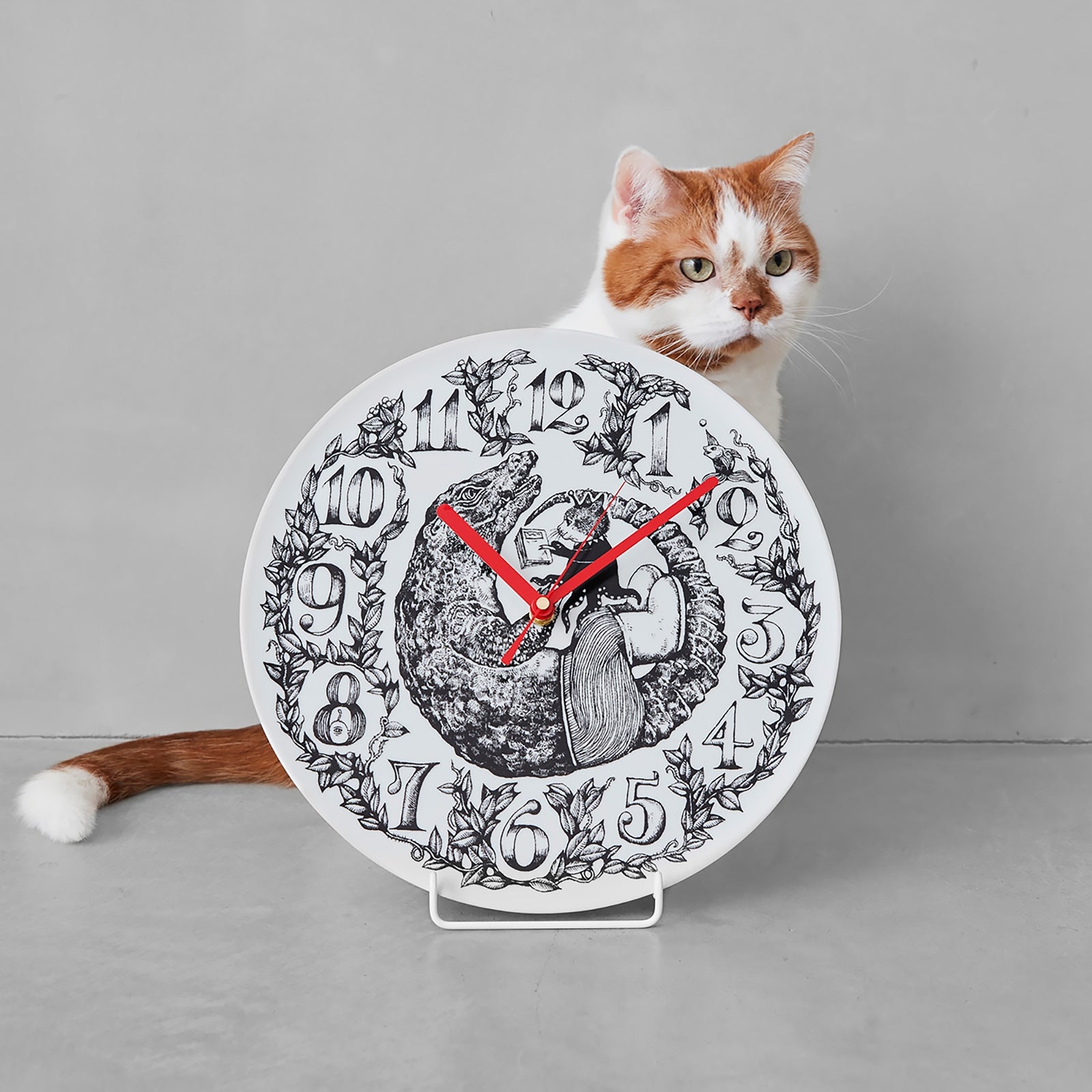 2049700250009_05.jpg?v=