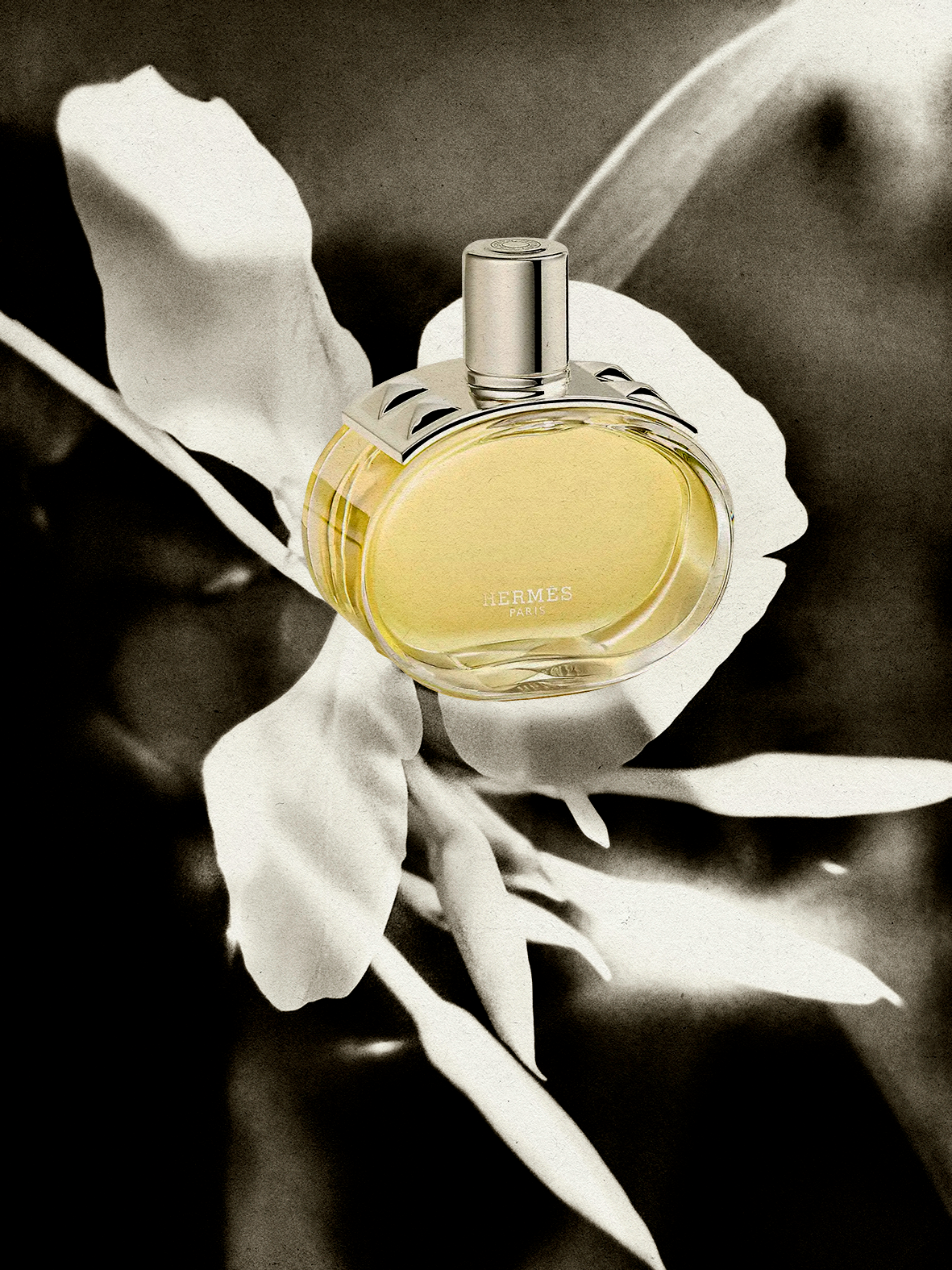 hermes-perfume-66ea5438af7c9.png