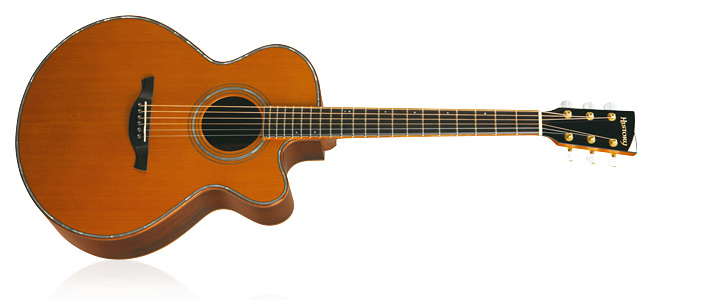 あいみょん Artist（アーティスト） ヒストリー HISTORY | 島村楽器