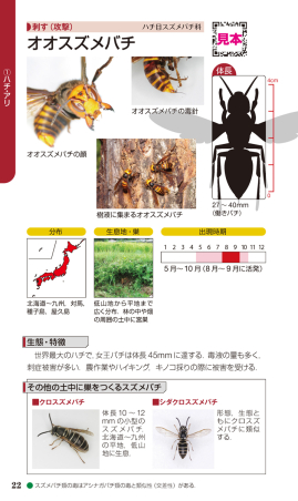 ポケット版 Dr．夏秋の臨床図鑑 虫と皮膚炎』 ｜ 学研出版サイト