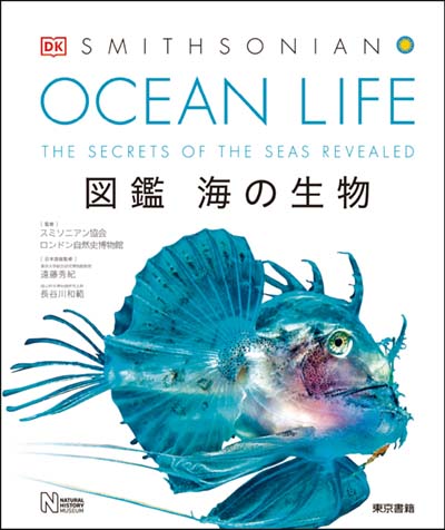 OCEAN LIFE 図鑑海の生物｜HONLINE（ホンライン）
