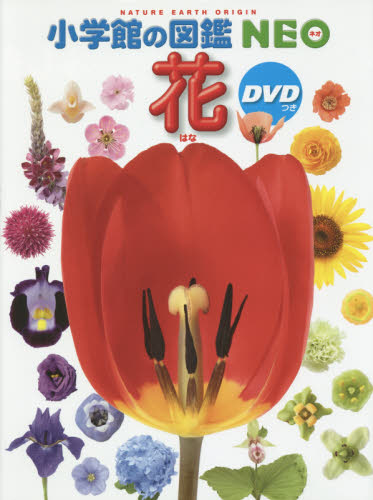 小学館の図鑑NEO DVDつきセット 既20巻｜HONLINE（ホンライン）