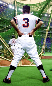 長嶋茂雄さん追悼試合が8月16日の東京ドーム阪神戦で開催決定 巨人