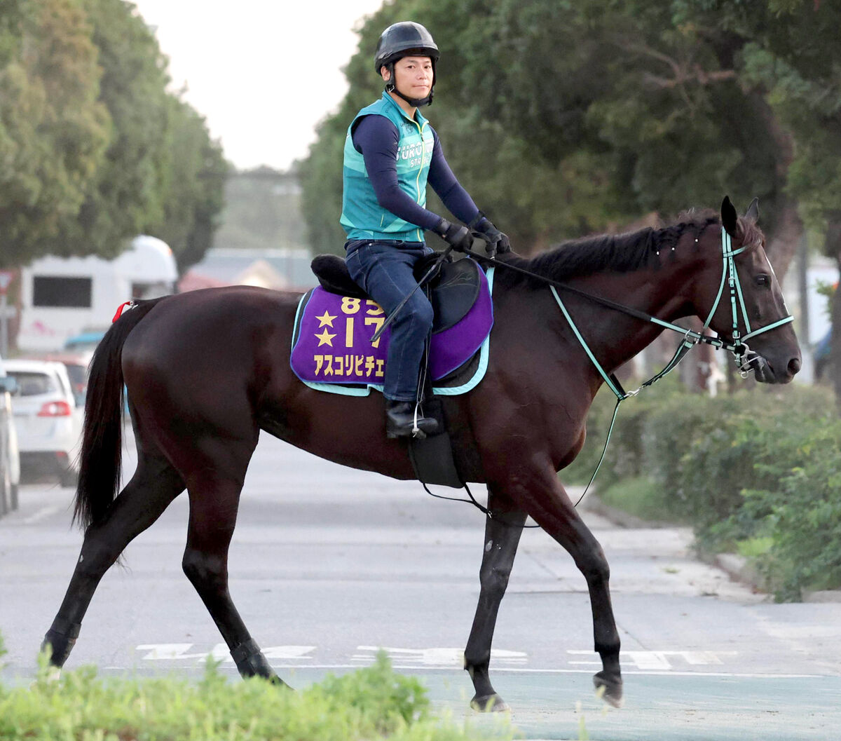 ジャックルマロワ賞に出走するアスコリピチェーノが仏到着 「いつも