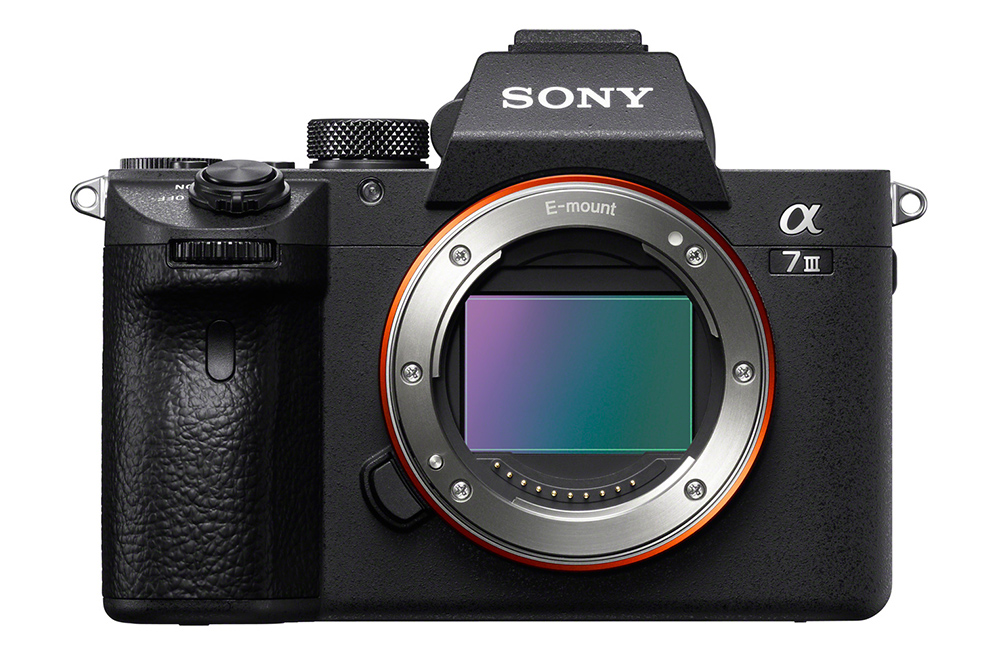 主要3メーカー「SONY α7Ⅲ」と「Nikon Z6」「Canon EOS R」をサクッと