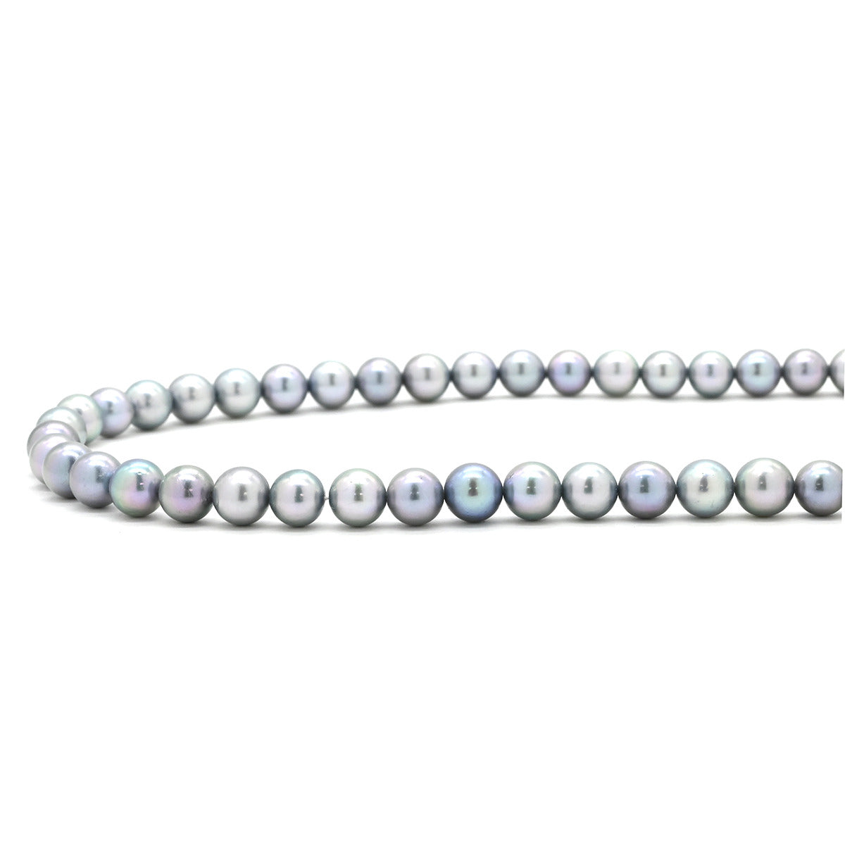 TASAKI TASAKI あこやパール ネックレス イヤリング セット