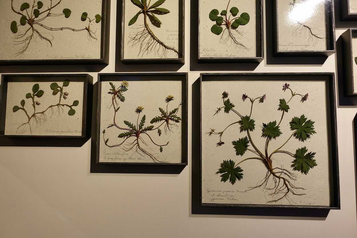 モリソン小林氏の彫刻 at Special Source その2 | 古びた家