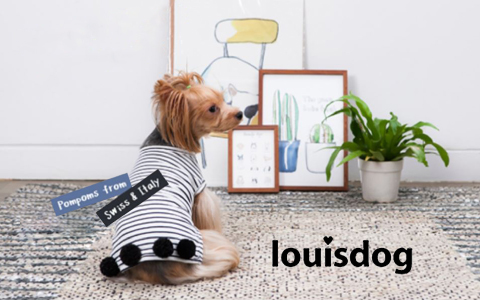 i-glow｜アイ グロー【ドッグファッション・セレクトストア】