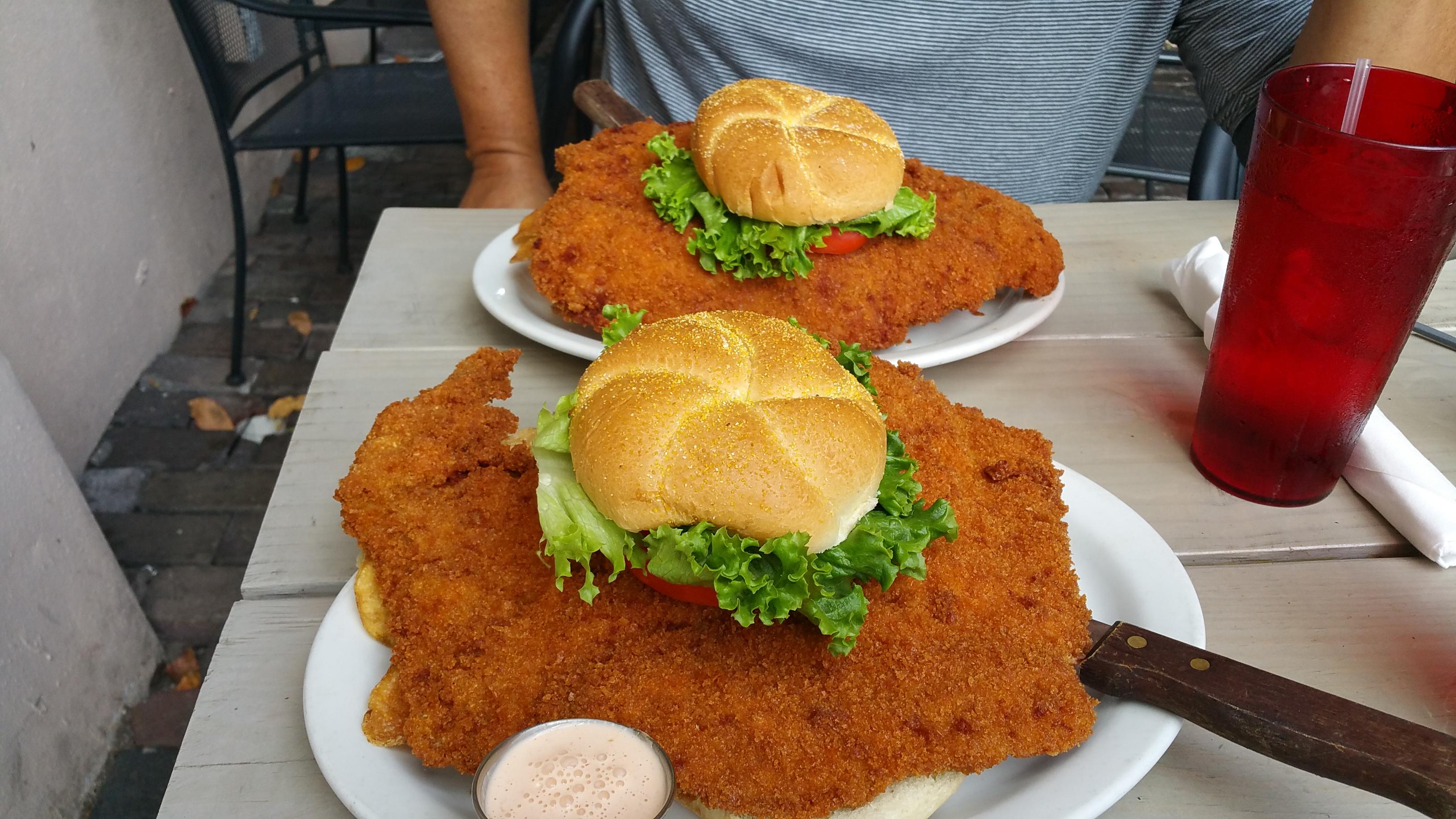 I Ate] Giant pork tenderloin sandwich : r/food