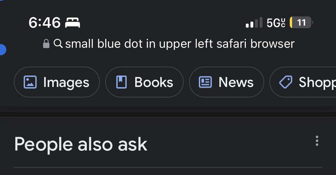 この小さな青い点って何？どうやったら消せるか知ってる人いる？ : r