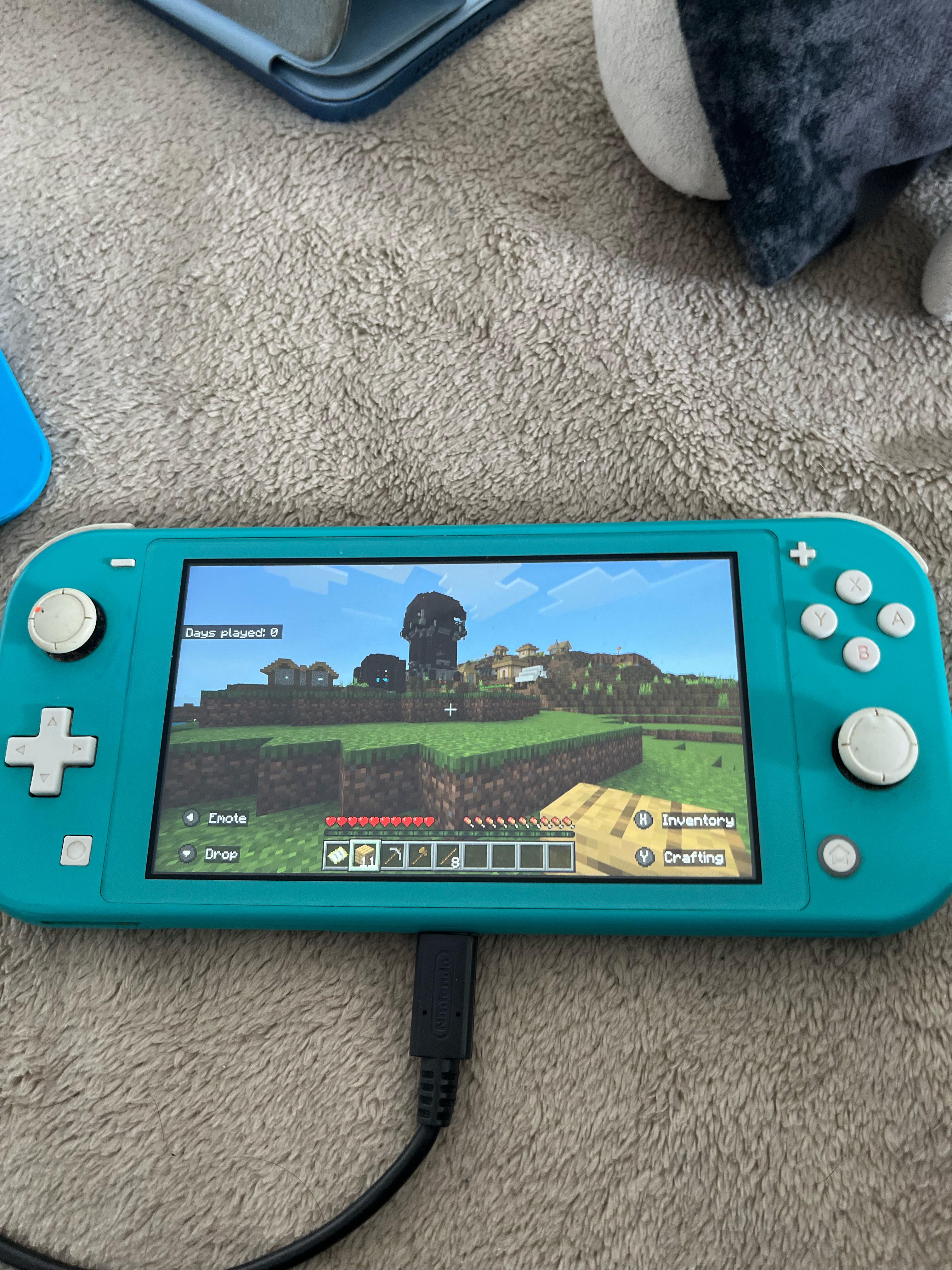 I just started playing Minecraft on my switch lite… WHAT THE HELL