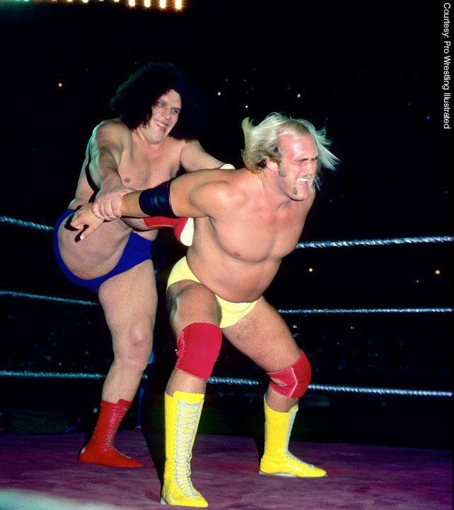 ハルク・ホーガン対アンドレ・ザ・ジャイアント、レッスルマニアIIIで