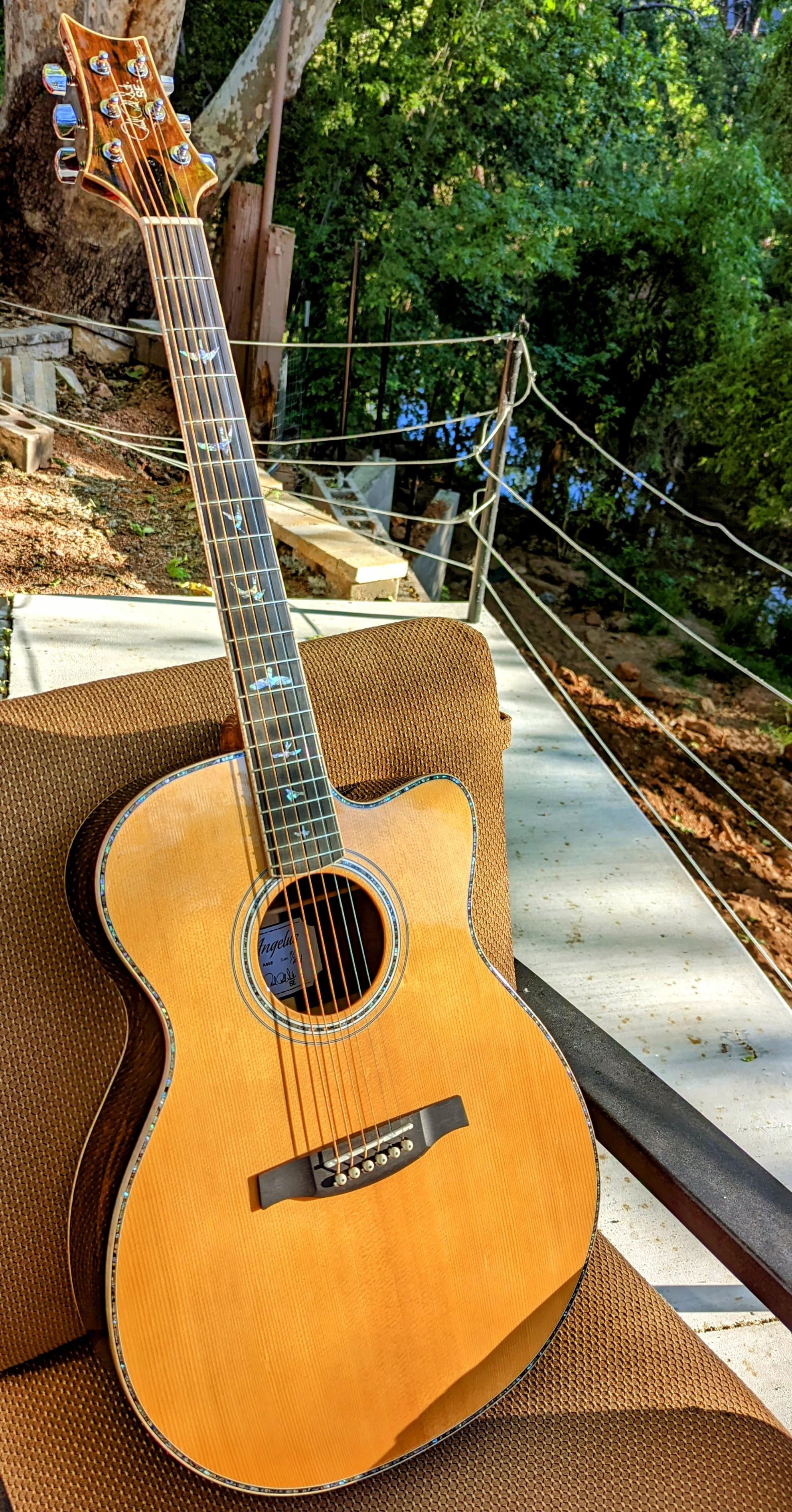 Angelus A60E : r/PaulReedSmith