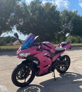 Isn't she lovely? : r/TwoXriders