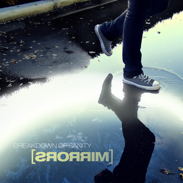 Mirrors - Album by Breakdown of Sanity | Spotify