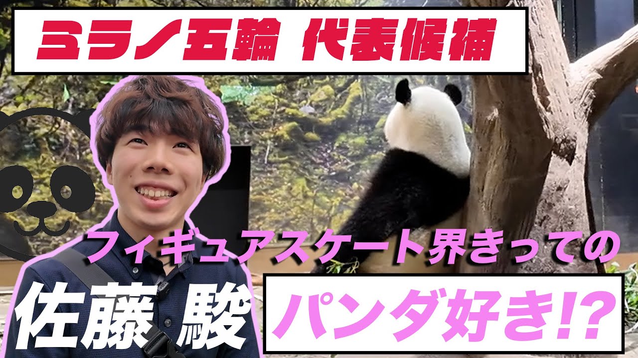 独占】ミラノ五輪代表候補・佐藤駿 フィギュア界きってのパンダ好き