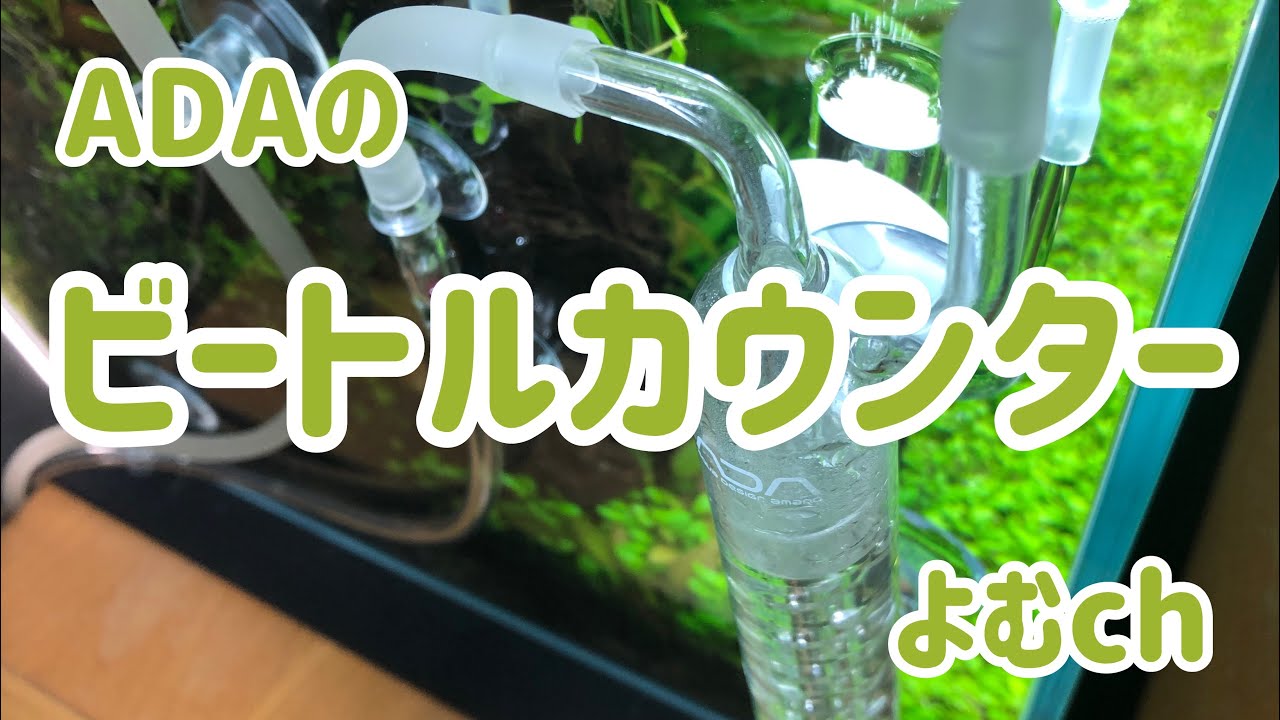 ADA CO2 ビートルカウンター カボーションルビー パレングラス セット