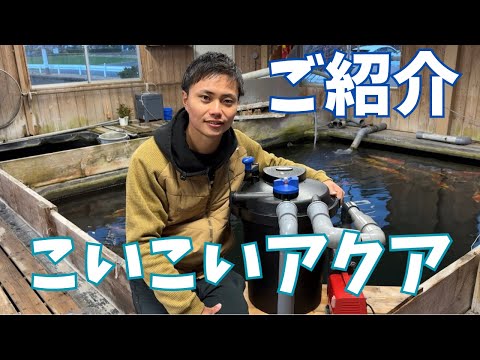 こいこいアクア - YouTube