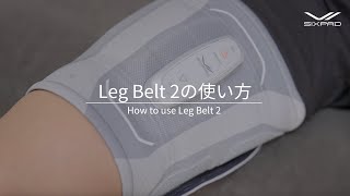 シックスパッド レッグベルト2 (Leg Belt 2) 太ももの筋トレ | SIXPAD