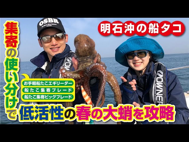 The key to catching large spring octopus [Funo Octopus off Akashi