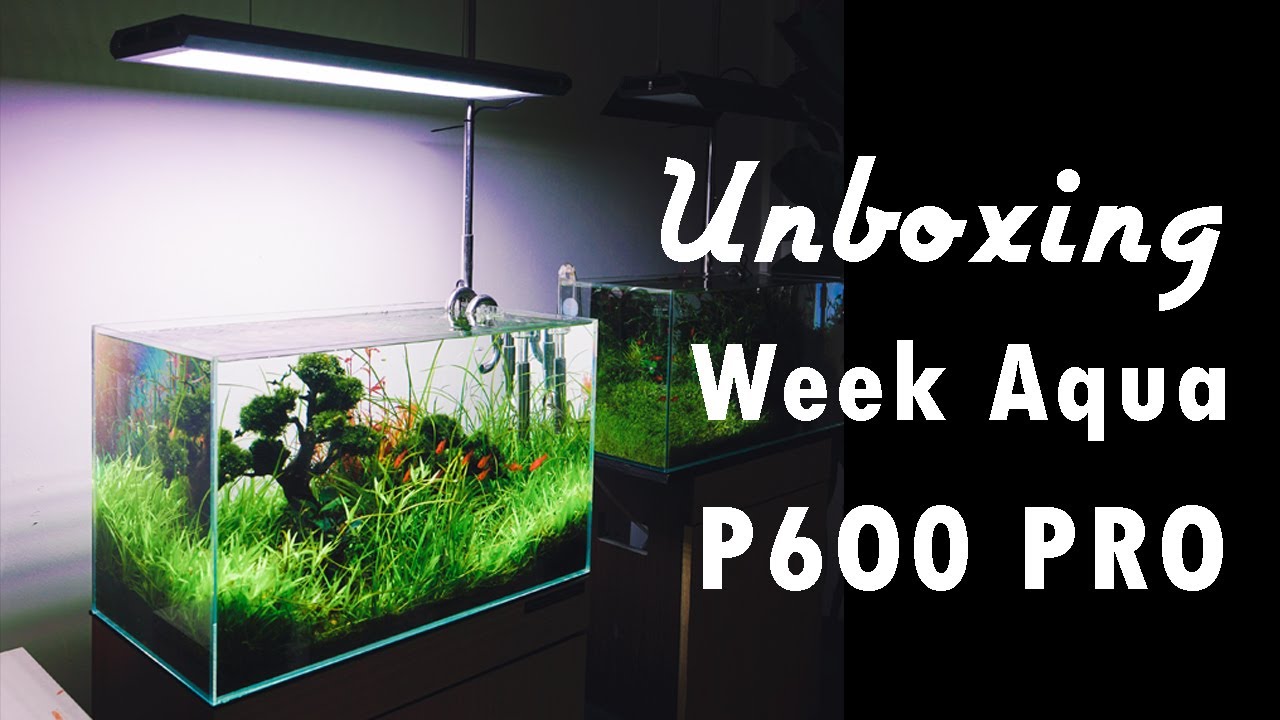 Week Aqua P600 PRO Unboxing and Review/Overview | Full Spectrum