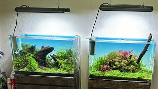 ADA.スペリアとNAデュアルポット ADA.スペリアとNAデュアルポット