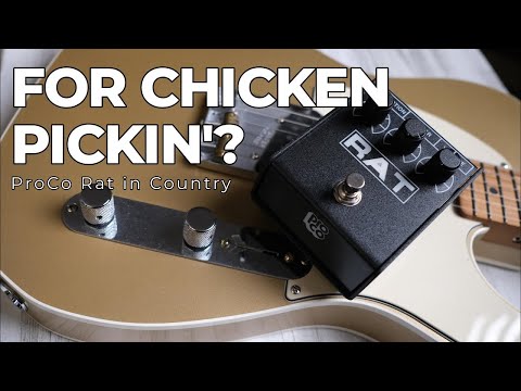 3 Minute Demo: ProCo Rat on Country | Distortion for Chicken