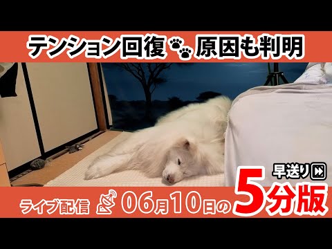 wasao_official - YouTube