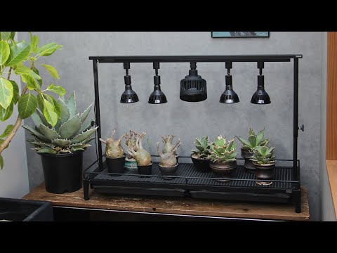 LIM IRON CRAFTの1段植物棚のご紹介 - YouTube
