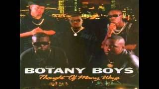 BOTANY BOYS feat. RONNIE SPENCER - Ups 'N Downs - YouTube