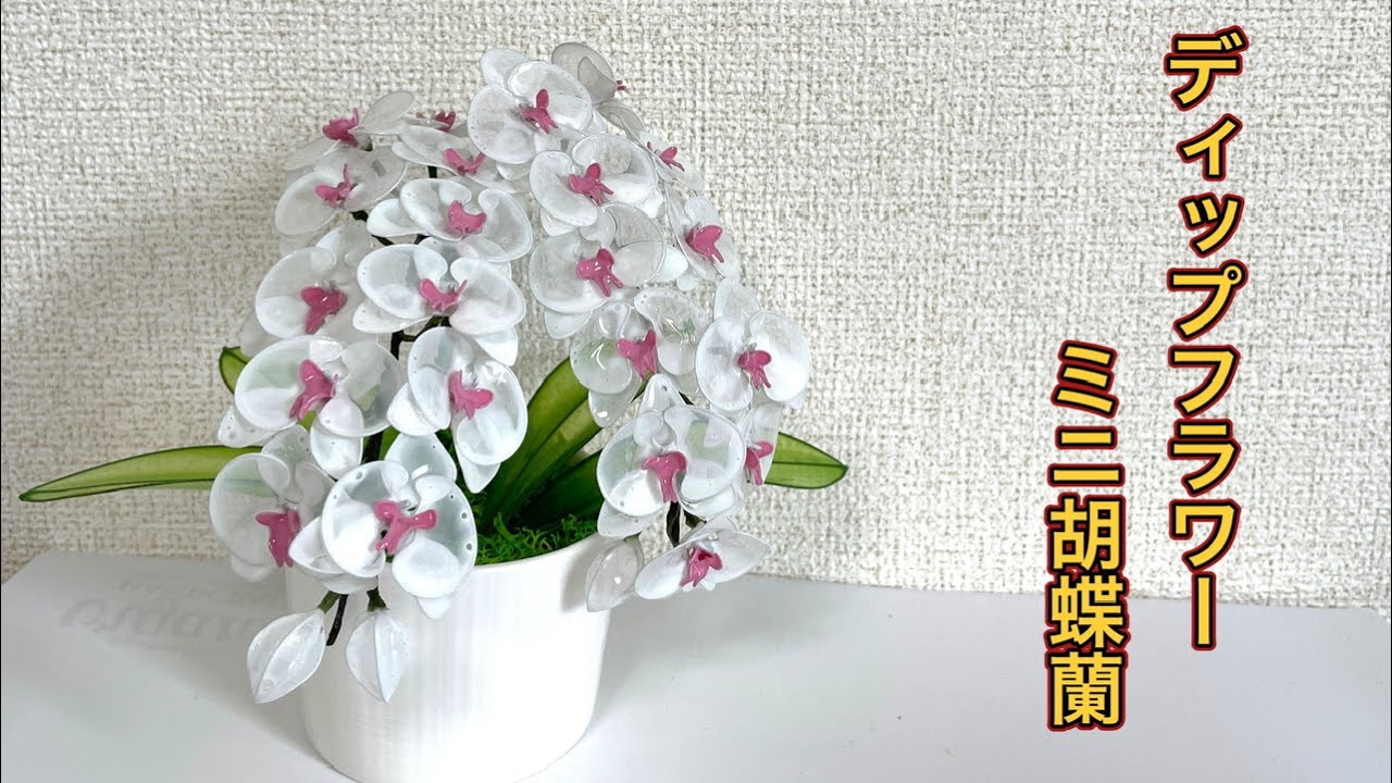 718 ディップフラワー ミニ胡蝶蘭を作ってみました。#ディップアート