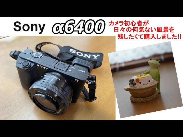 SONY ミラーレス α6400 ダブルズームキット 購入（作例有り） - YouTube