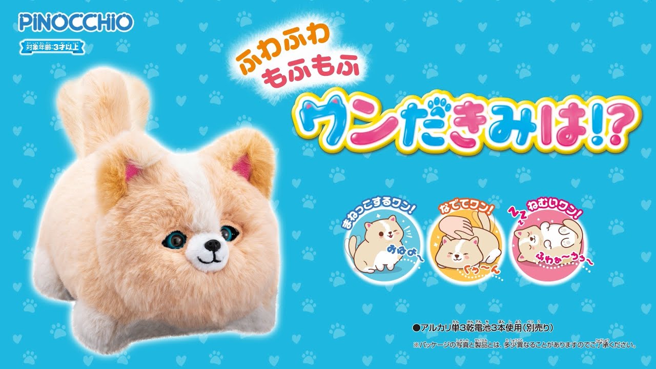 ニャンだきみは！？ ワンだきみは！？｜PINOCCHIO｜株式会社アガツマ