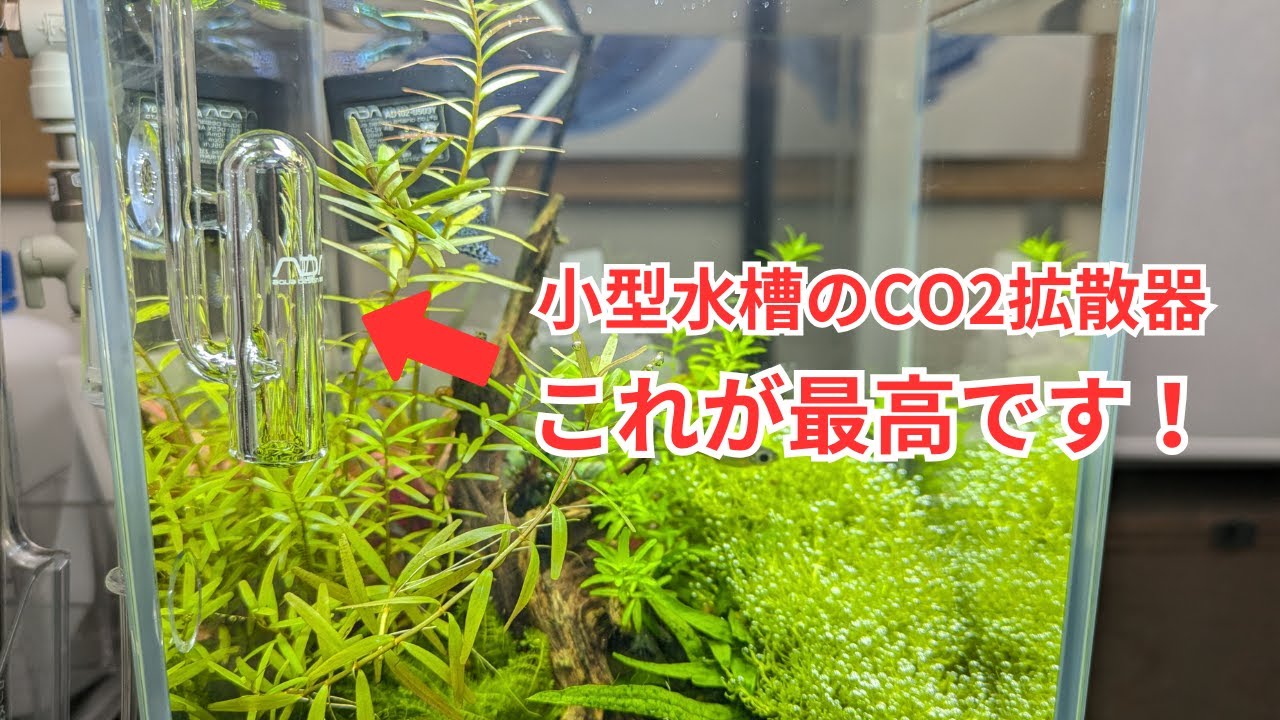 ADA's masterpiece] Review of the Bellglass Mini, a CO2 diffuser