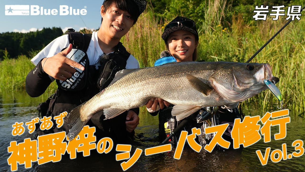 シーバスをやり込んだ男のゲームベスト - YouTube