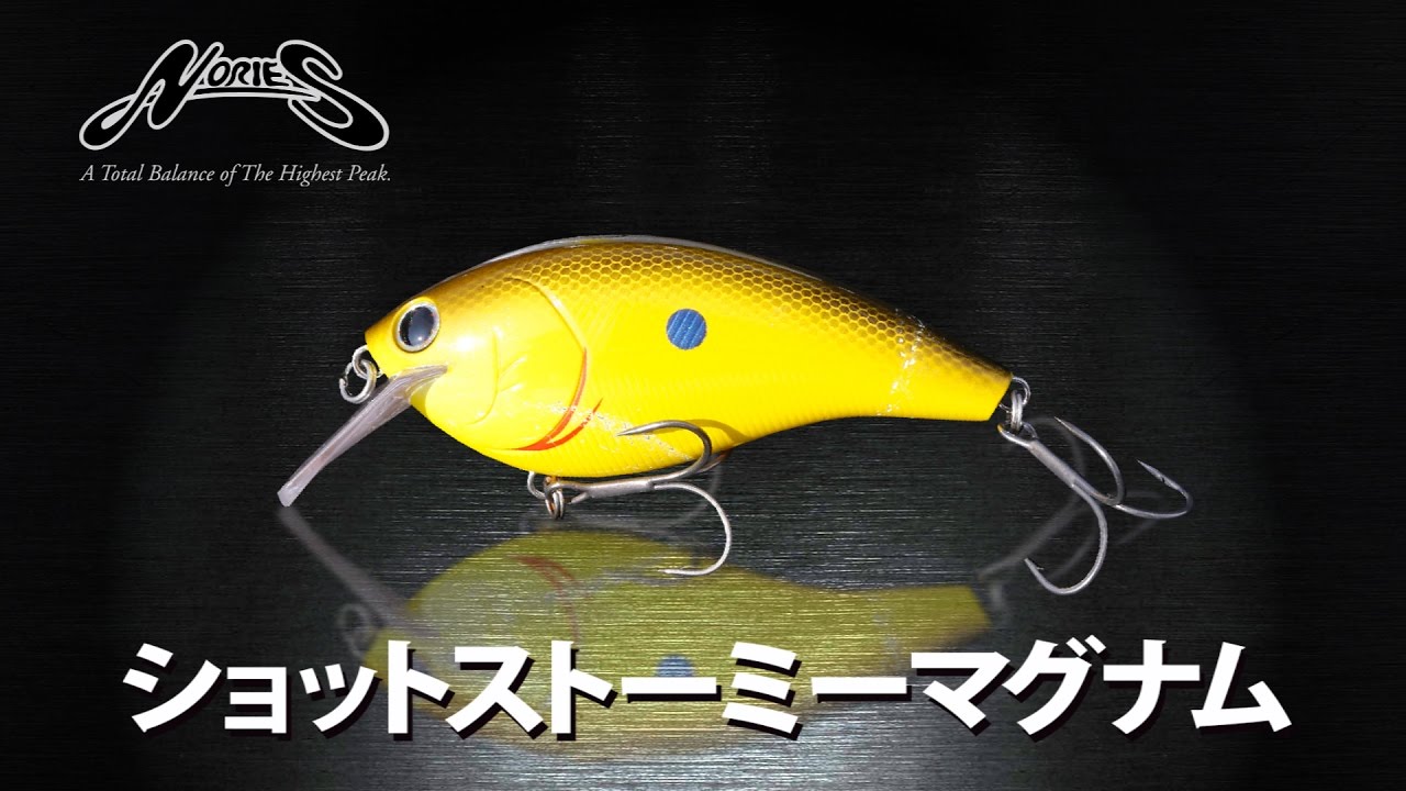 Nory's] Shot Stormy Magnum - A thorough explanation by Nory's pro