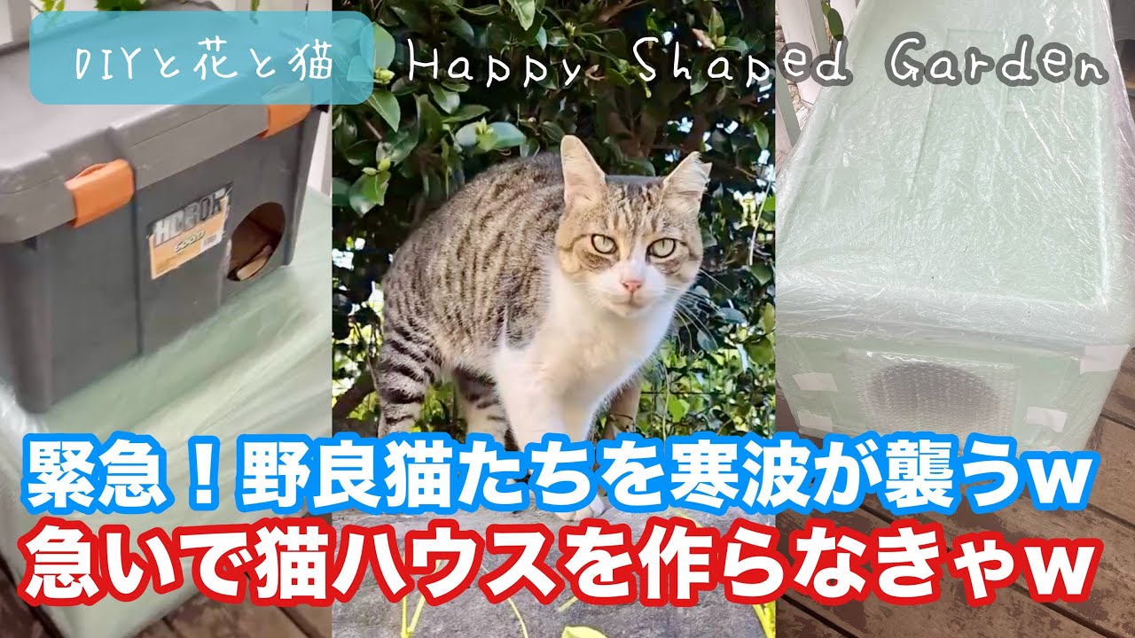 野良猫ハウス】野良猫たちを寒波が襲うw 急いで猫ハウスを作らなきゃ