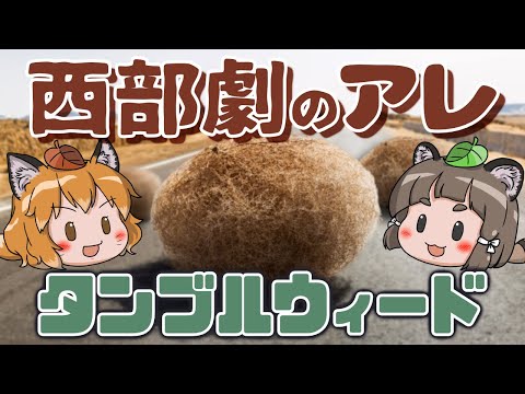 hqdefault.jpg?v=6370f127