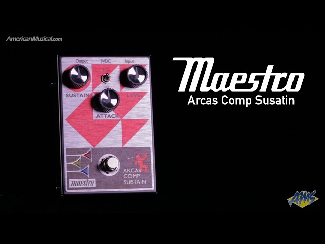Maestro Arcas Comp Sustain - A go-to workhorse for any situation