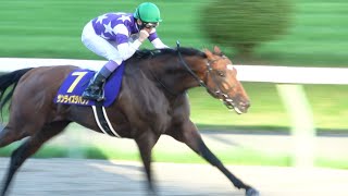 不来方賞2024】武豊 ガッツポーズで勝利を喜ぶ！ウィニングラン 現地