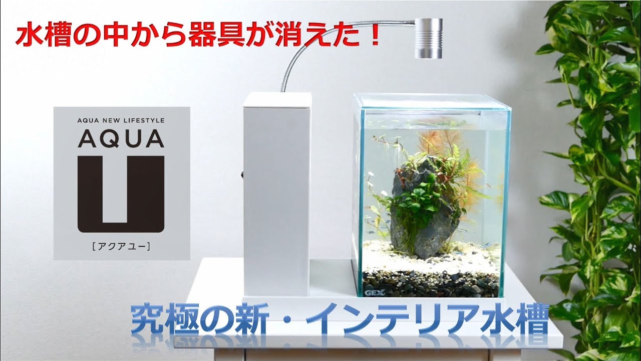 Unique structure, interior aquarium tank AQUA-U - YouTube