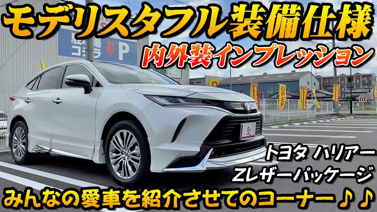 Modellista spec] 80 Series Harrier interior and exterior