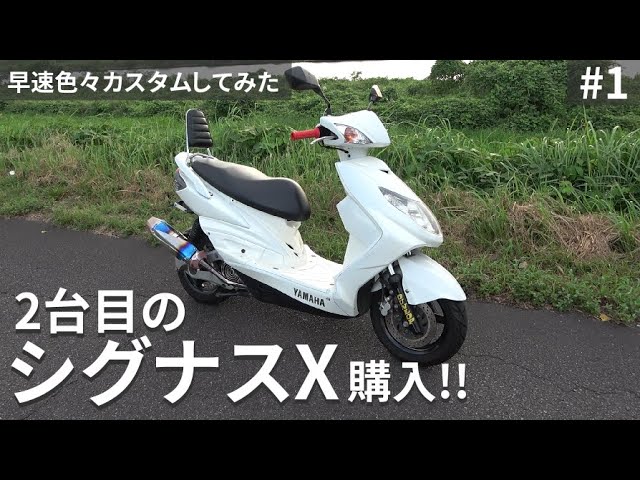 シグナスX増車しました【JOSHO1｜キジマ｜タケガワ｜SE44J｜SE46J