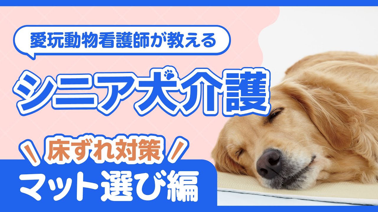 エクスジェルマット (犬 床ずれ予防)｜ ペット用品の通販サイト ペピイ