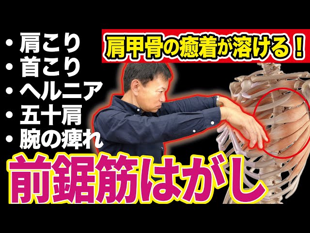 首こり・ガチガチ背中が根こそぎ剥がれる！自律神経も安定するから絶対